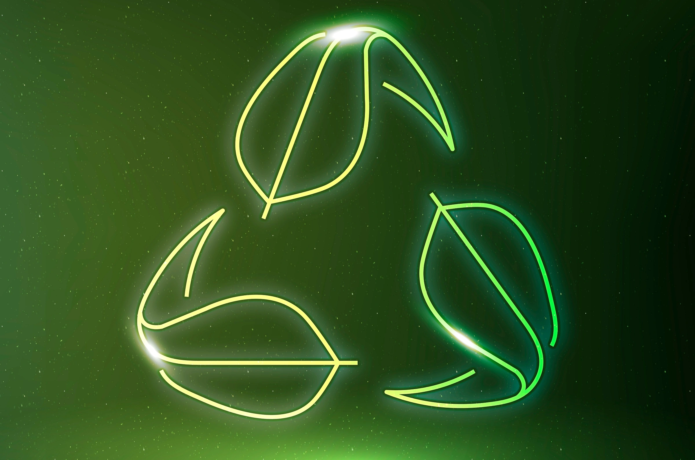 Sustainable Business Practices for Modern Startups